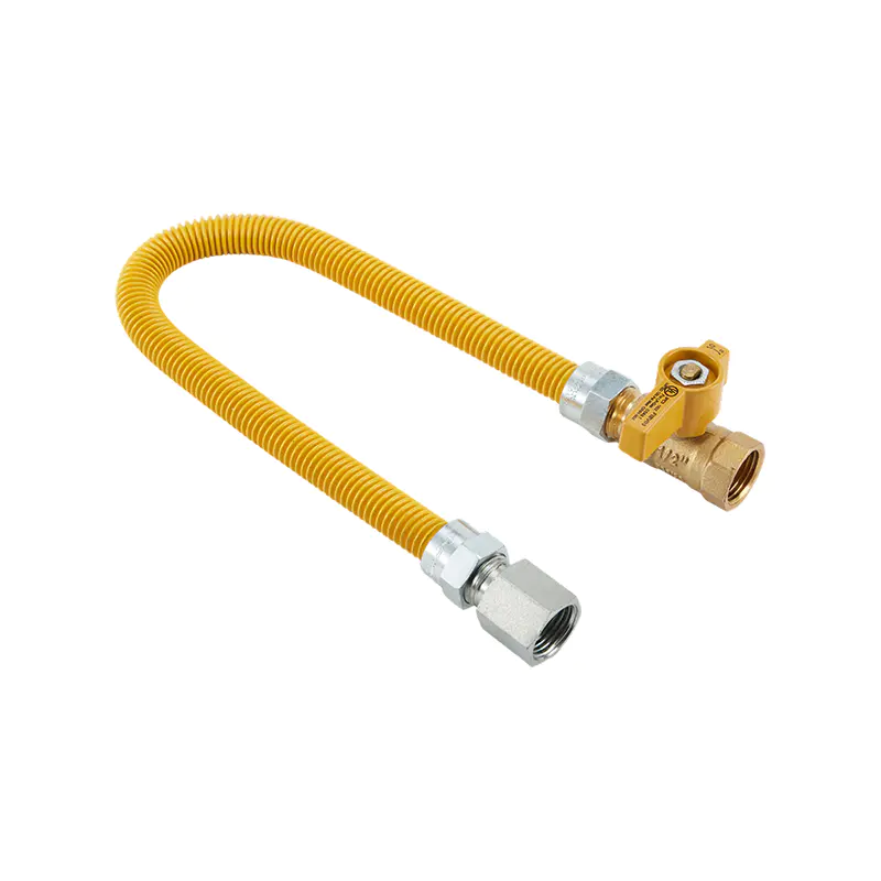 Connettore gas in acciaio inossidabile DN20